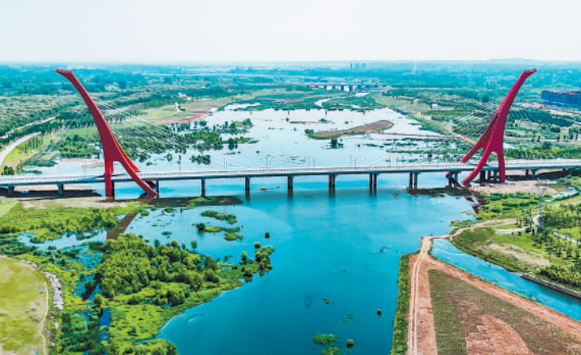 从福建走向世界:三棵树以中国漆书写高质量发展绿色答案