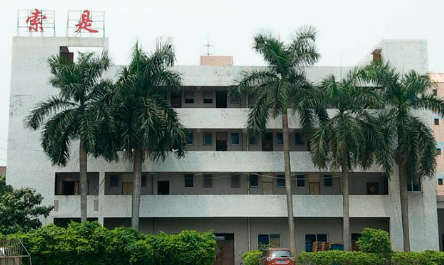 上海索是化工:伟德客户端官网助剂领域的创新引领者