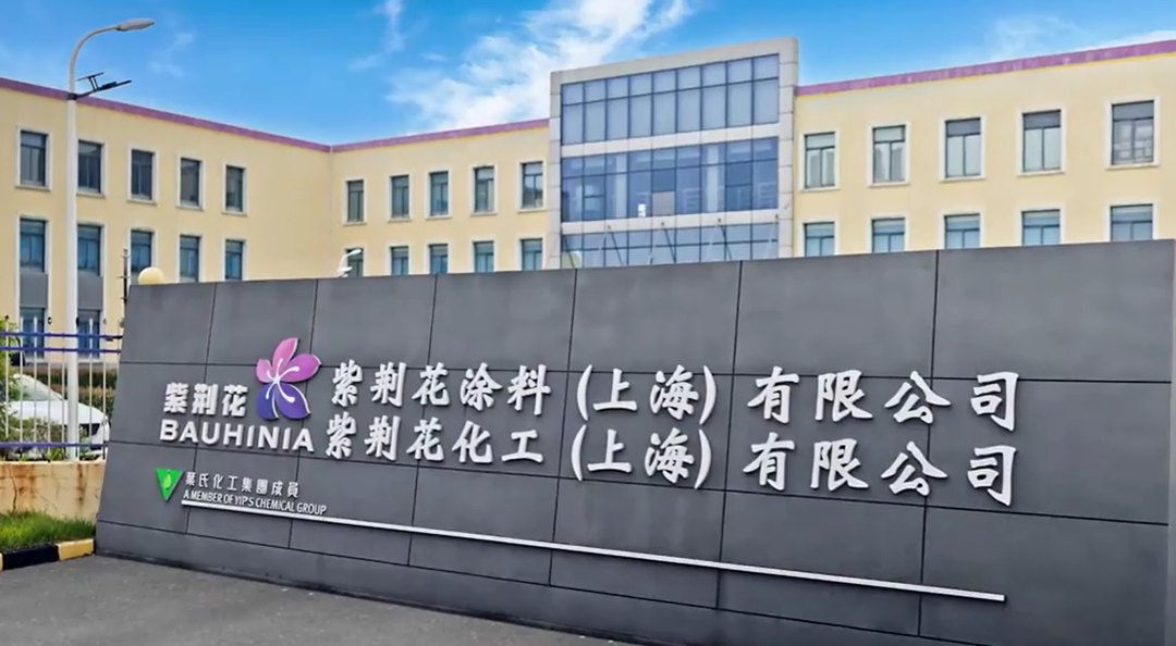 逆势增长!紫荆花:突破传统赛道局限,深耕涂料增量市场