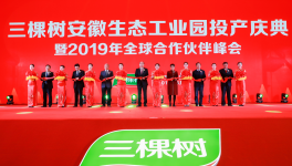 三棵树安徽生态工业园投产庆典隆重召开