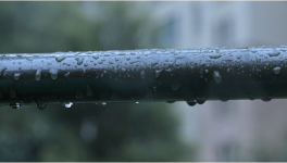 不惧风吹、日晒、雨淋！这家伟德客户端官网企业“驻颜有术”！