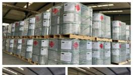 迈向国际化！温特实业开启高质量发展新篇章！