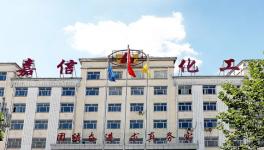 可替代钛白粉！嘉信化工入选“十大品牌”！