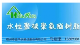 又一龙头中国区总部大楼项目开工奠基！