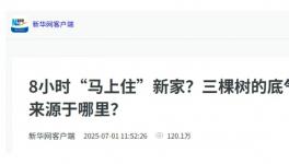 8小时“马上住”新家？三棵树的底气哪里来？  