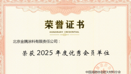 实力见证！金隅涂料荣膺中国消防协会优秀会员单位称号