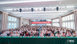 三棵树全球仿石涂料销量第一！